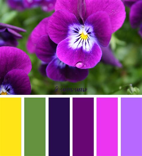 Wild Pansy Color Palette | Farbkombinationen, Malen und zeichnen, Farbkonzept