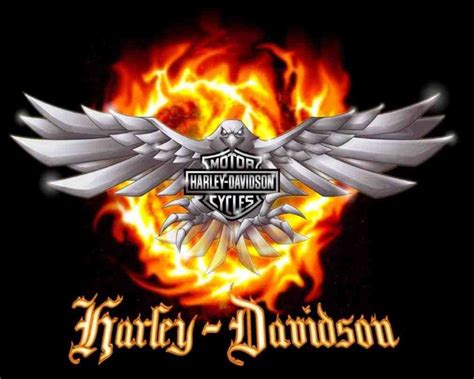 Harley-Davidson Eagle Wallpapers - Top Free Harley-Davidson Eagle ...