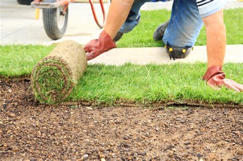 How to Lay Lawn Turf | Best Time To Lay Turf | Bury Hill Blog