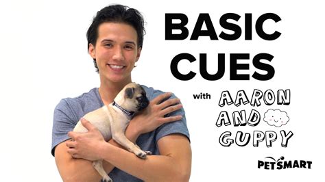 PetSmart Puppy Training: Basic Cues - YouTube