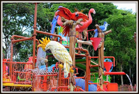 Birdz of Play – Jurong bird park – The Mums and Babies