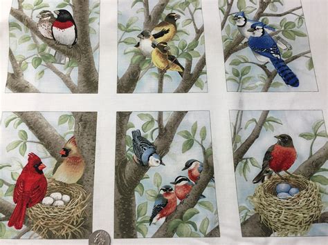 Fabric Birds and Nests Quilt Panel (12 Squares 4 1/2" x 6") 21" x 22 ...