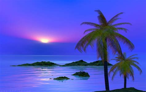 Palm Tree Wallpapers - Wallpaper Cave