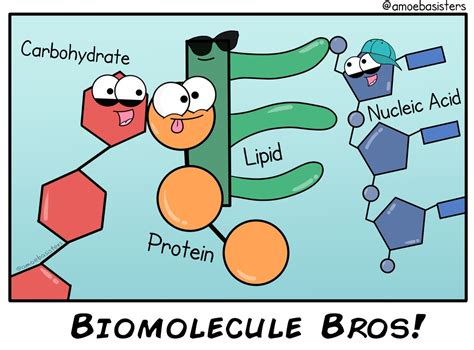 Paramecium Parlor Comics - Science with The Amoeba Sisters