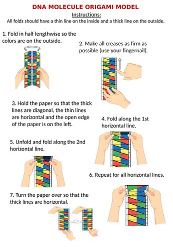 DNA MOLECULE ORIGAMI MODEL | Teaching Resources