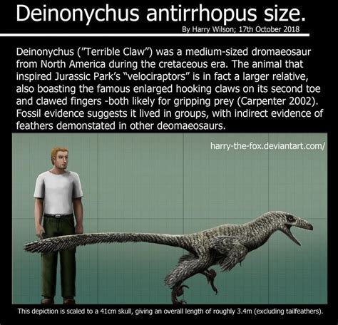 Deinonychus size by Harry-the-Fox Jurassic Park, Jurassic World, Megafauna, Paleo Art, Big ...