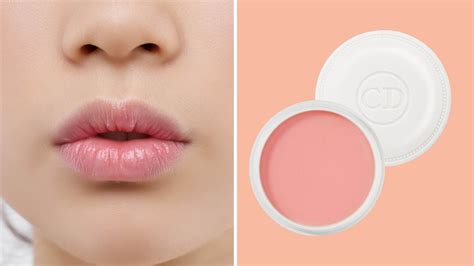 Lip Treatment Products at barbaradbyerso blog