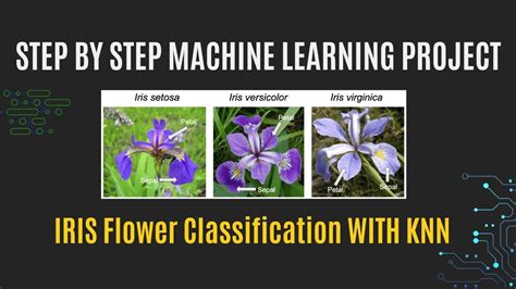 Iris flower classification with KNN | Step by step ML project - Data ...