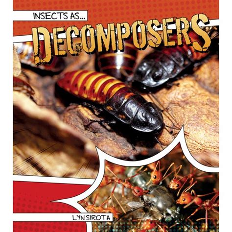 Insects as Decomposers - Walmart.com - Walmart.com