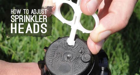 How To Adjust Sprinkler Heads from Sprays to Rotors : Drip Depot DIY Irrigation Support