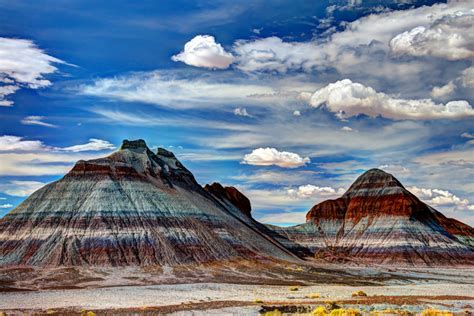 Petrified Forest National Park is a window to the past.