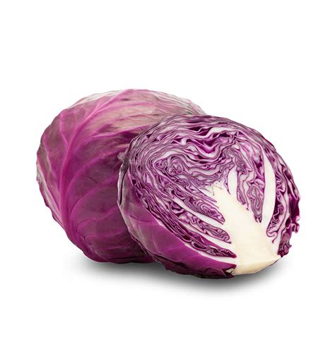 Red Cabbage | Grace's Bakery