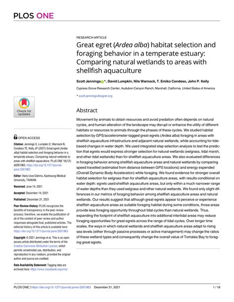 (PDF) Great egret (Ardea alba) habitat selection and foraging behavior in a temperate estuary ...