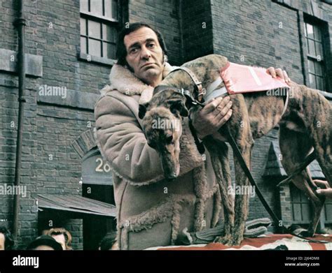 HARRY H.CORBETT, GREYHOUND, STEPTOE AND SON RIDE AGAIN, 1973 Stock ...