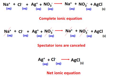 Net ionic equation Calculator - All steps + Examples