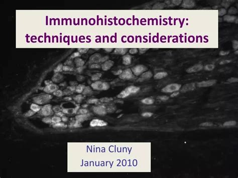 PPT - Immunohistochemistry: techniques and considerations PowerPoint Presentation - ID:4519385