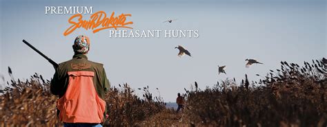 South Dakota Pheasant Hunting Lodges | Pheasant Hunting Outfitter ...