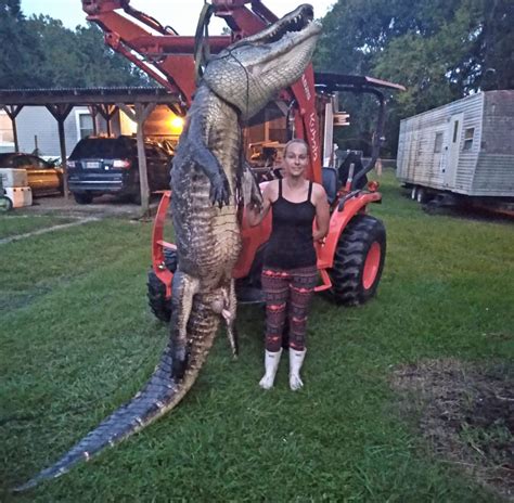 Louisiana Hunter Tags Massive 11-Foot Alligator | Outdoor Life