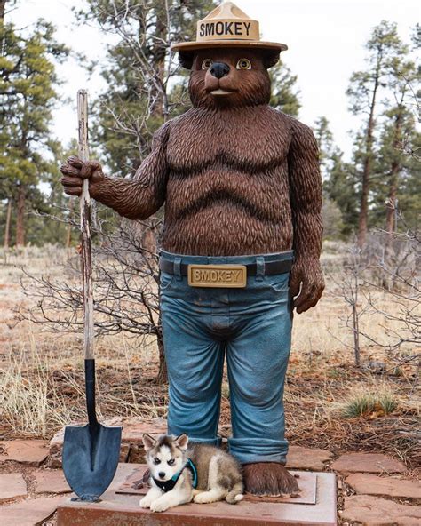 Smokey the Bear | MATTHEW'S ISLAND