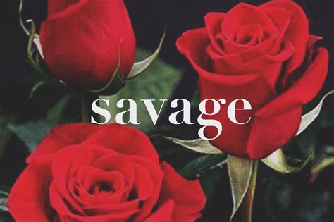 Savage Love Wallpapers - Top Free Savage Love Backgrounds - WallpaperAccess