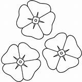 Poppy Flower Coloring Page sketch template