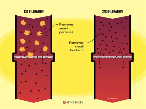 Production Of Wine