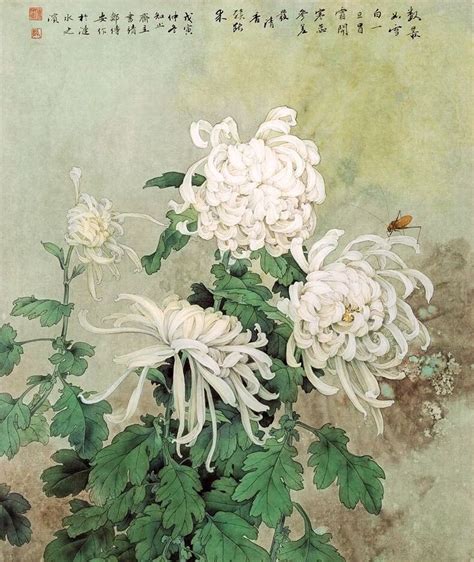 Chrysanthemums. Zou Chuanan. Chinese painting | Chrysanthemum painting, Chinese art painting ...