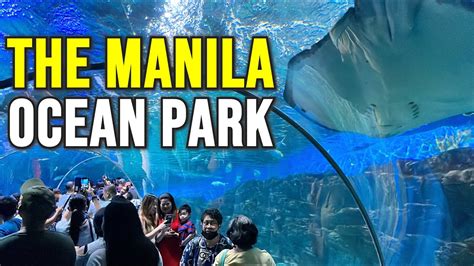 MANILA OCEAN PARK TOUR 2023 | The Amazing OCEANARIUM Tourist Attraction ...