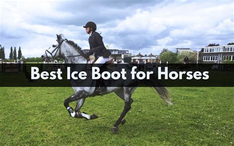 The 7 Best Ice Boots for Horses - 2024 (Reviews & Guide) - Equine Desire