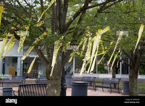 Tie a yellow ribbon round the old oak tree hi-res stock photography and ...