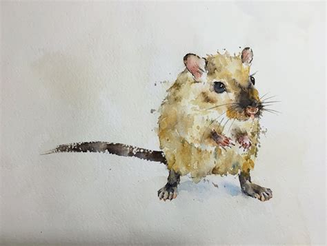 Pensive Mouse. Michele Clamp watercolors. | Animal paintings, Animals ...