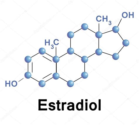 High and Low Estradiol in Men on Testosterone: How to Manage - ExcelMale