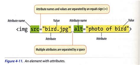 HTML Attributes