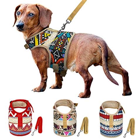 Dachshund Harness Pattern – Free Patterns