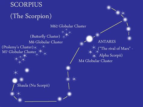 Scorpius (The Scorpion). The brightest star in Scorpio is the red ...