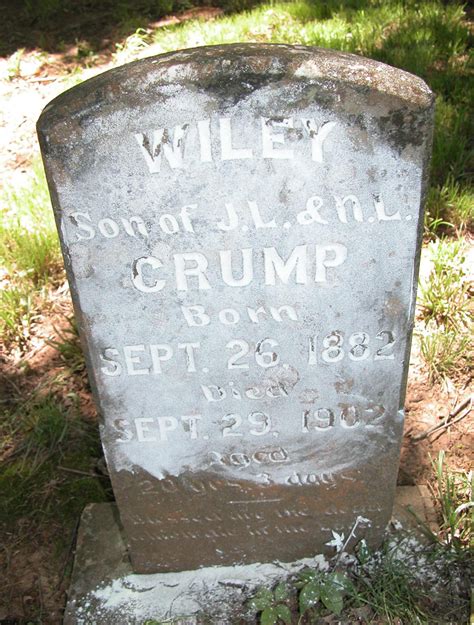 Old Crump/Tom Bumgardner Cemetery