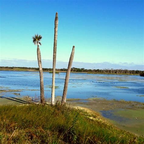 Orlando Wetlands Park - Park