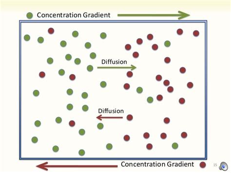 9 diffusion and osmosis (Lab) Thursday 9/19