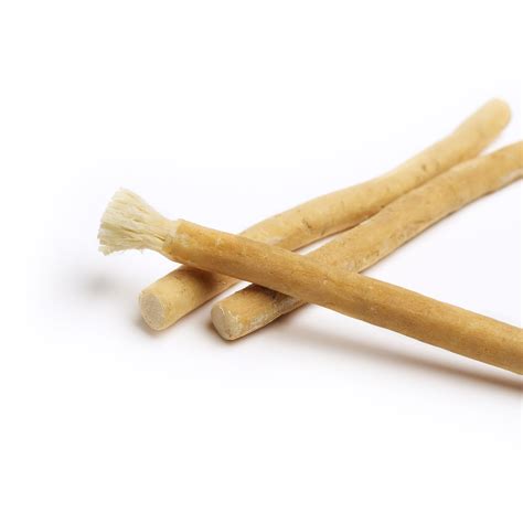 Miswak: The Natural Toothbrush