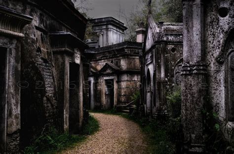 HIGHGATE CEMETERY | Highgate cemetery, Cemetery, Highgate