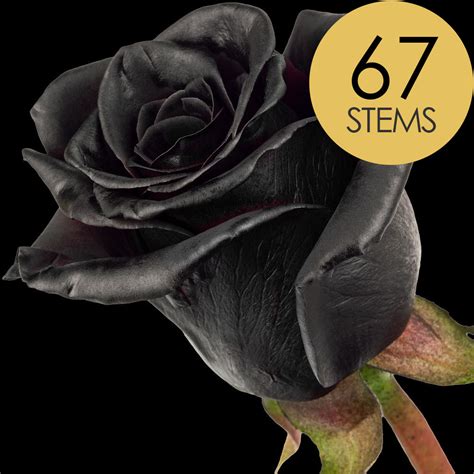 Buy Black Roses Online with Free Delivery from interROSE