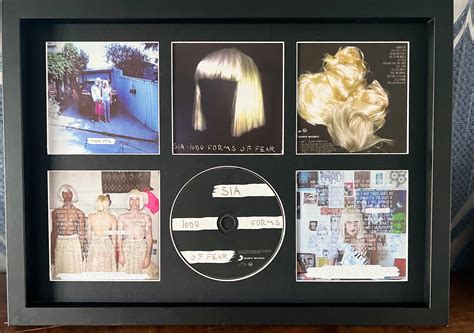 Sia - 1000 Forms Of Fear CD Wall Display : r/Sia