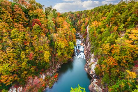 20 Things To Do In Georgia: The Ultimate Bucket List - Southern Trippers