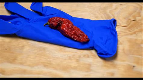 Watch the Ghost Pepper Challenge: Army vs. Marines (160x hotter than a jalapeno) | American ...