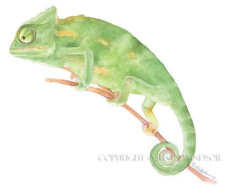 Chameleon Watercolor Painting Giclee Print Fine by SusanWindsor