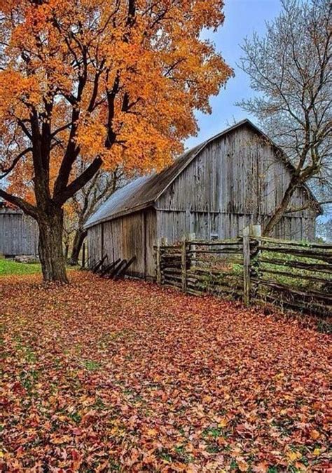 Pin by Margot Hayden on Fall | Barn painting, Barn pictures, Barn art