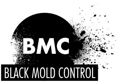 What Causes Black Mold? Growth, Causes and Solutions!