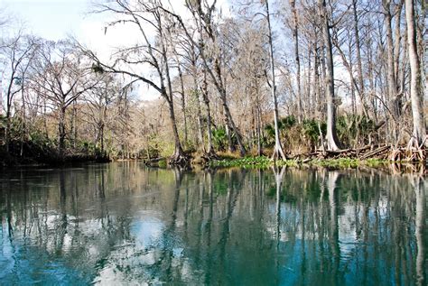 Biotica EcoTours: Silver Springs Kayak Tour