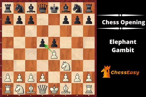 Elephant Gambit Chess Opening - ChessEasy