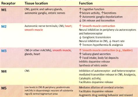 Cholinergic Receptors (Muscarinic & Nicotinic) and Their Distribution ...